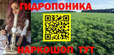гашик Краснознаменск