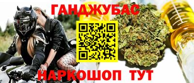 гашик Краснознаменск