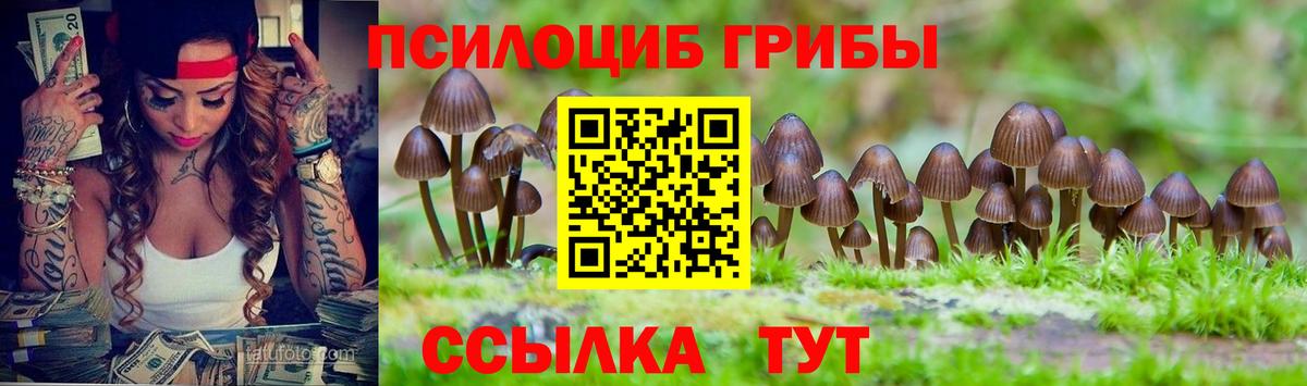 Галлюциногенные грибы GOLDEN TEACHER  Вход с VPN  Казань 